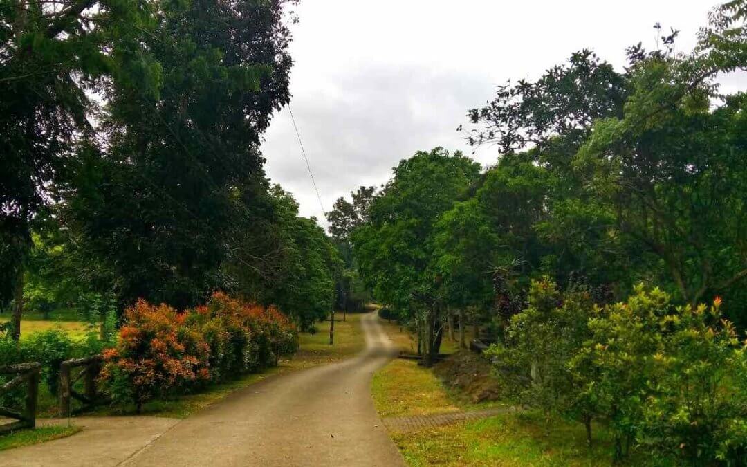 Turning campers’ haven to modern dwellers’ sanctuary